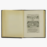 Castillo interior (o Las moradas)