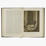 The Hunchback of Notre Dame