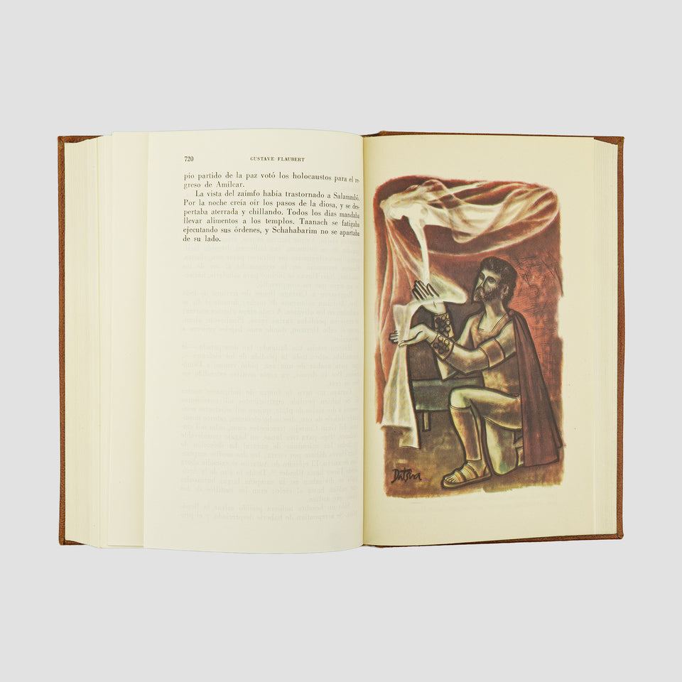 FLAUBERT, Gustave (1821-1880). Madame Bovary ·  Salammbô (Editorial Vergara, Barcelona, 1962).