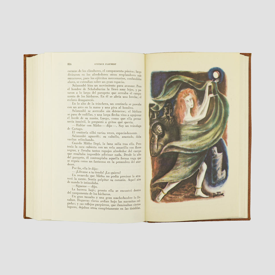 FLAUBERT, Gustave (1821-1880). Madame Bovary ·  Salammbô (Editorial Vergara, Barcelona, 1962).