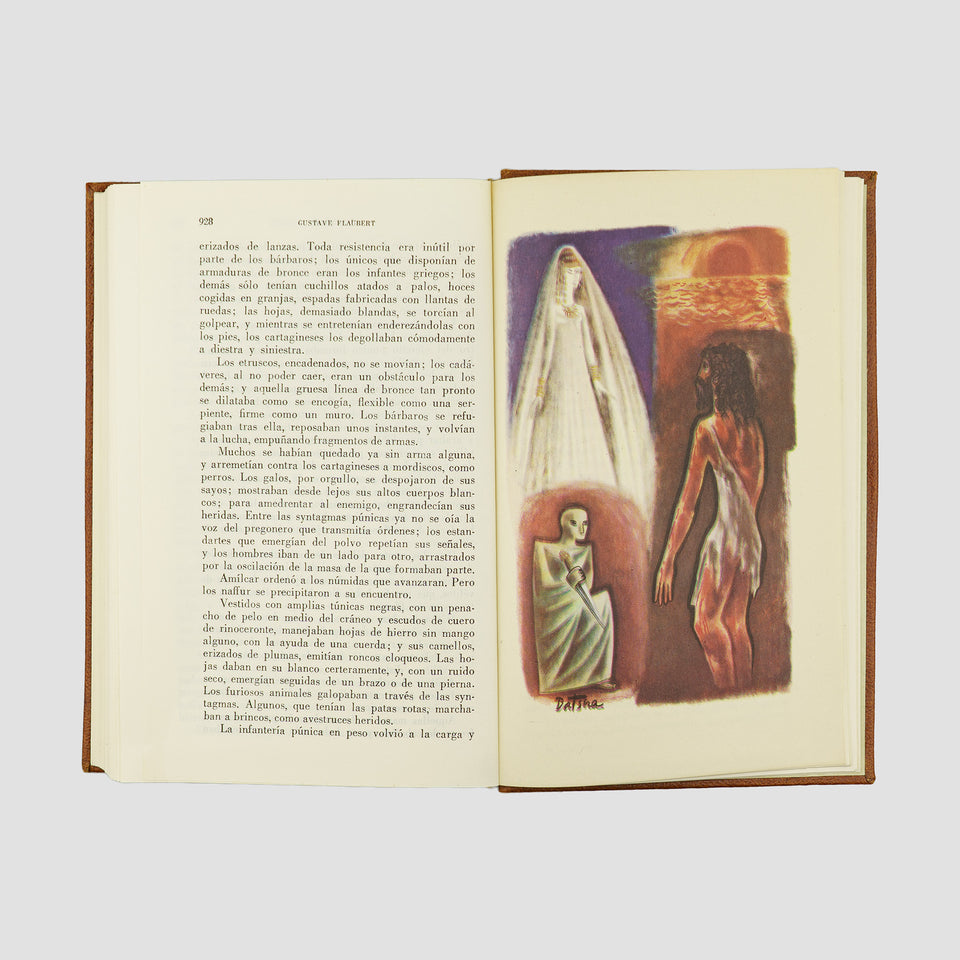 FLAUBERT, Gustave (1821-1880). Madame Bovary ·  Salammbô (Editorial Vergara, Barcelona, 1962).