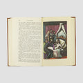 FLAUBERT, Gustave (1821-1880). Madame Bovary ·  Salammbô (Editorial Vergara, Barcelona, 1962).