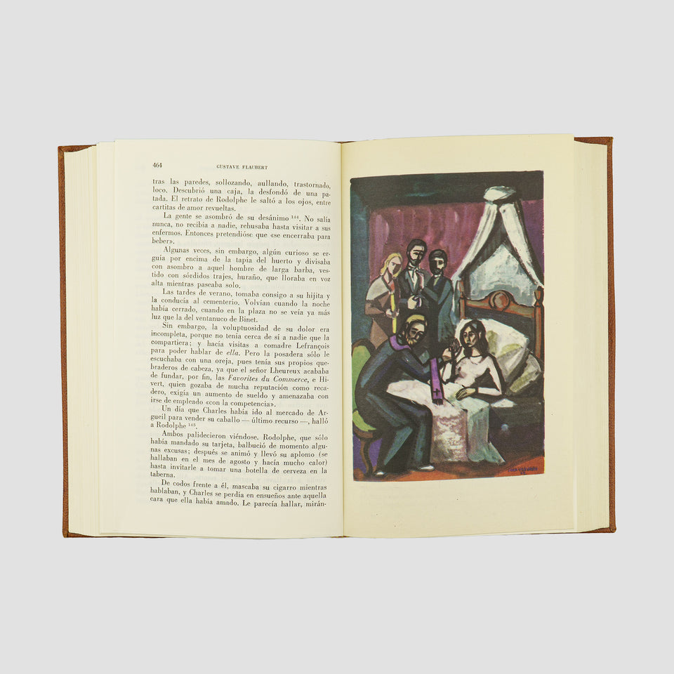 FLAUBERT, Gustave (1821-1880). Madame Bovary ·  Salammbô (Editorial Vergara, Barcelona, 1962).