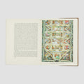 VASARI, Giorgio (1511–1574). Lives of the Artists (The Folio Society, London, 1993), 3 vols.