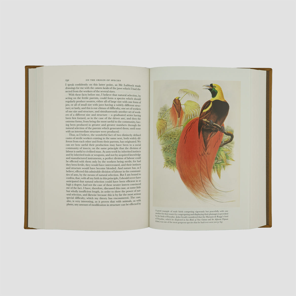 DARWIN, Charles Robert (1809–1882). On the Origin of Species (The Folio Society, London, 2006).
