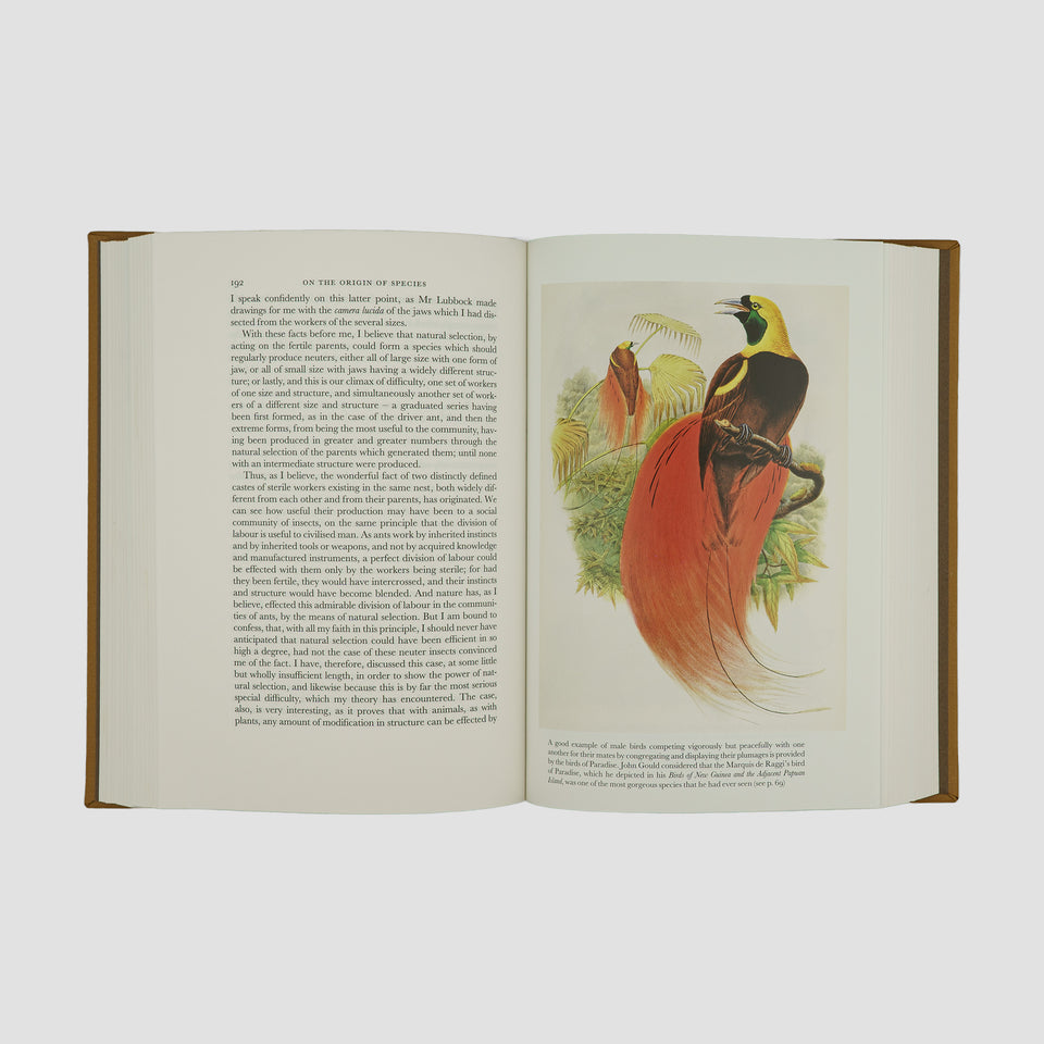 DARWIN, Charles Robert (1809–1882). On the Origin of Species (The Folio Society, London, 2006).