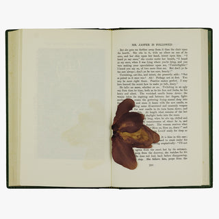 Dickens - The Mystery of Edwin Drood • Master Humphrey’s Clock (c.1960). Livro físico. Encadernação editorial com douração.