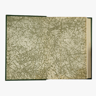 Joaquim Nabuco — Um Estadista do Império (Editora Nova Aguilar, 1975). Livro físico com encadernação em couro com douração. Folha de guarda.