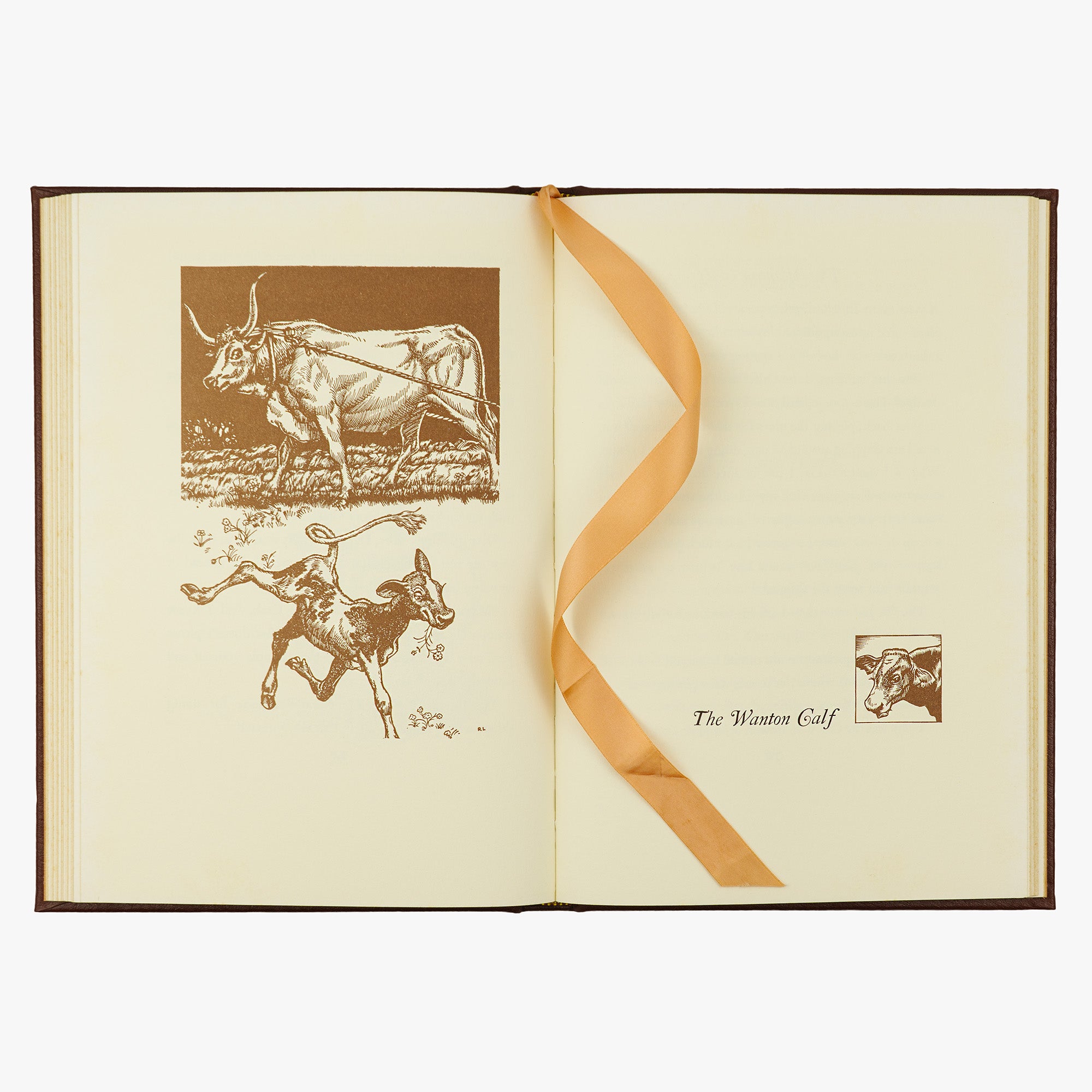 Esopo — Aesop’s Fables (The Easton Press, 1979). Livro físico ilustrado em encadernação de luxo - capa de couro, cortes dourados e fita de leitura de cetim.