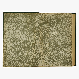 Joaquim Nabuco — Um Estadista do Império (Editora Nova Aguilar, 1975). Livro Físico. Capa encadernada em couro com douração. Fita de leitura presente.