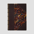 livro La Petite Paroisse de Alphonse Daudet primeira edição 1895