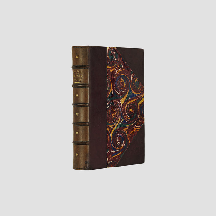 livro La Petite Paroisse de Alphonse Daudet primeira edição 1895