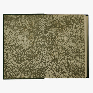 Joaquim Nabuco — Um Estadista do Império (Editora Nova Aguilar, 1975). Livro físico. Capa de couro com douração.