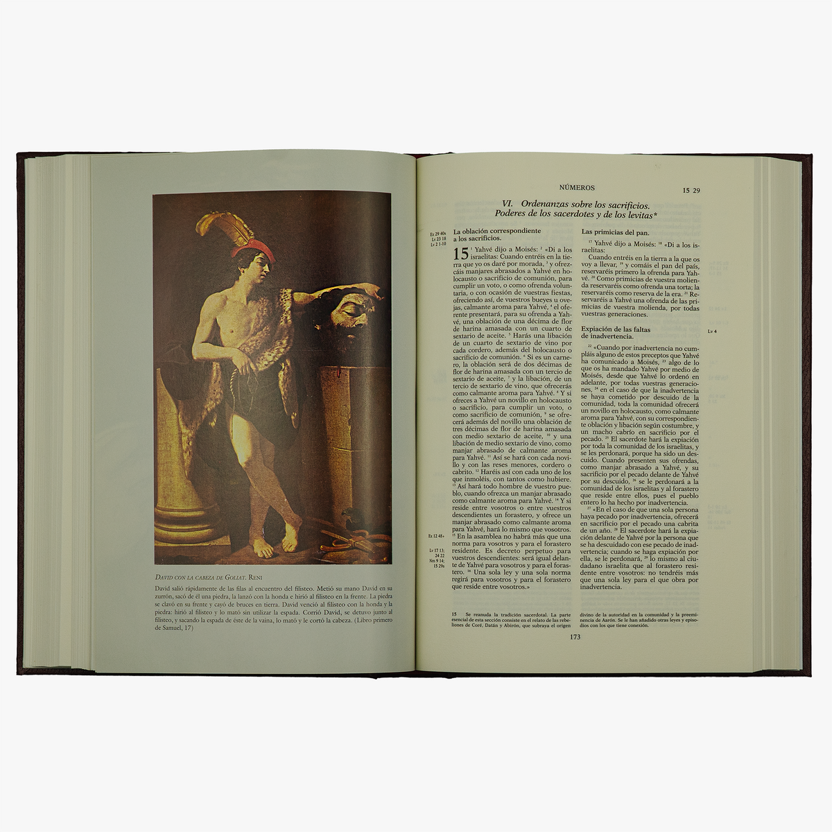 Biblia de Jerusalén (Editorial Desclée De Brouwer, S.A. / Ediciones Folio, S.A., Barcelona, 2006), 5 vols.