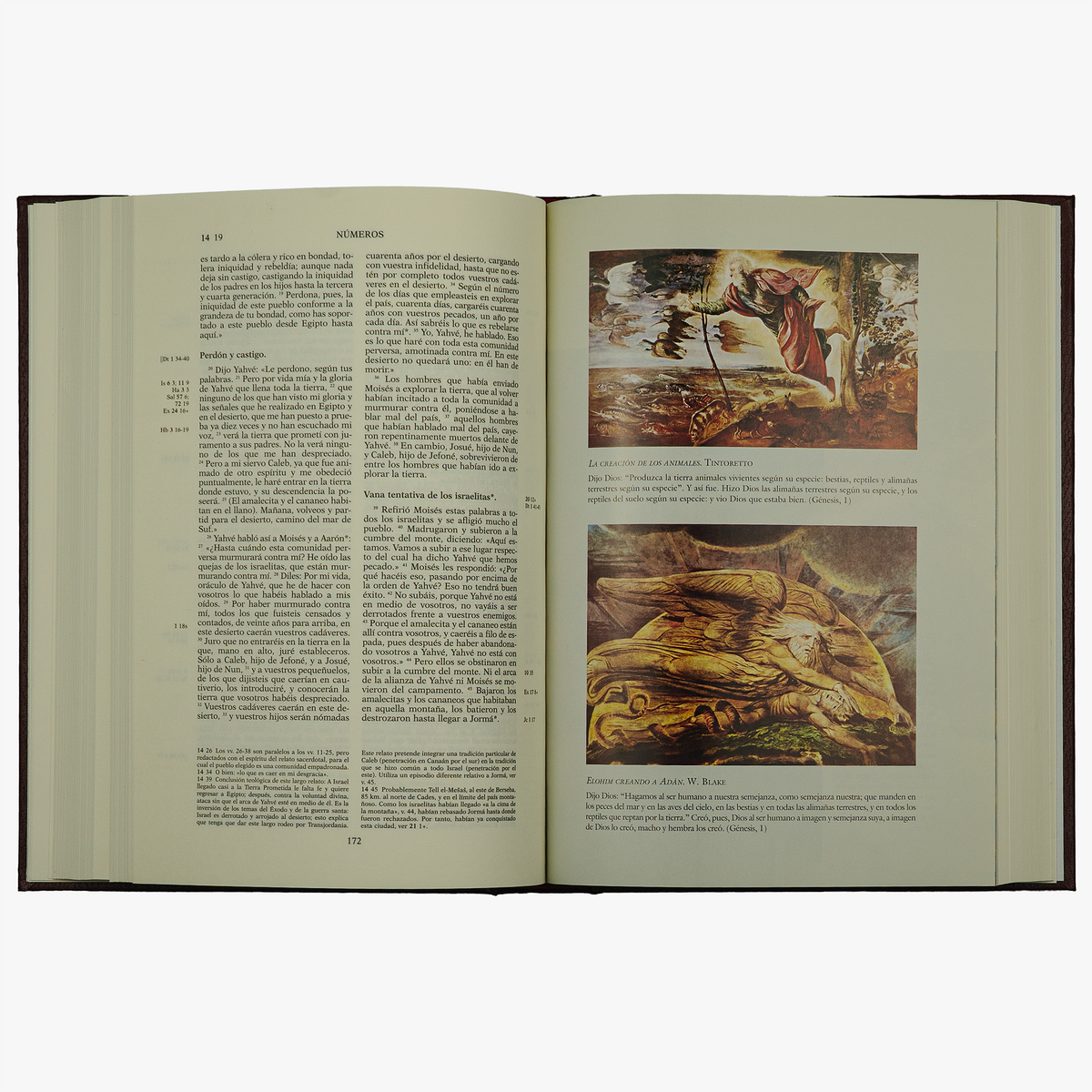 Biblia de Jerusalén (Editorial Desclée De Brouwer, S.A. / Ediciones Folio, S.A., Barcelona, 2006), 5 vols.