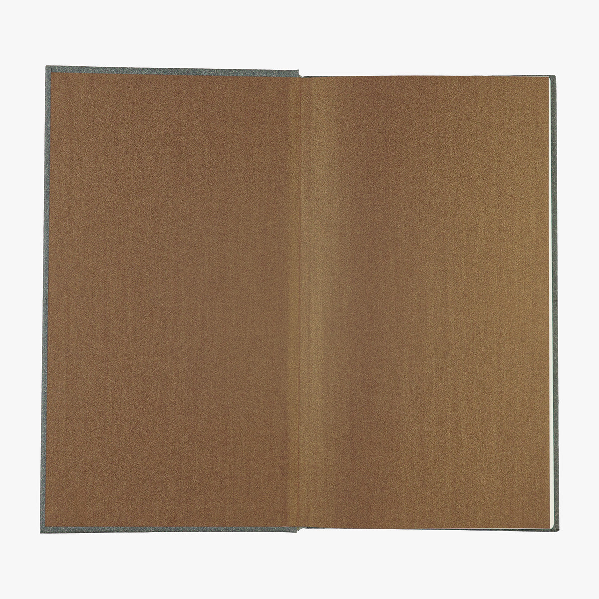 EINSTEIN, Albert (1879–1955). Relativity: The Special and the General Theory (The Folio Society, London, 2004).