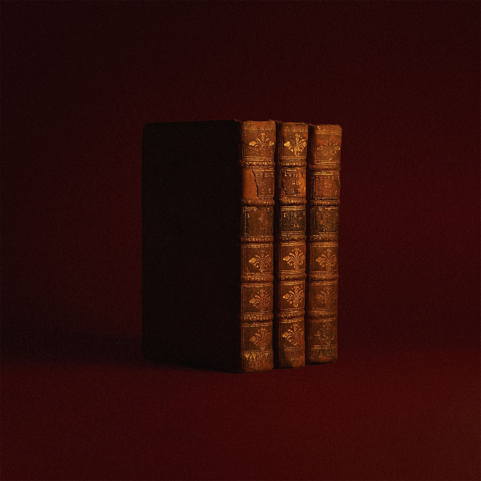 Backdrop artwork with mountains