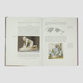 TANNAHILL, Reay (1929–2007). Food in History (The Folio Society, London, 2007).