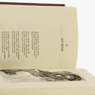 Charles Baudelaire — Oeuvre poétique (Jean de Bonnot, 1973). Livro físico em encadernação de luxo.